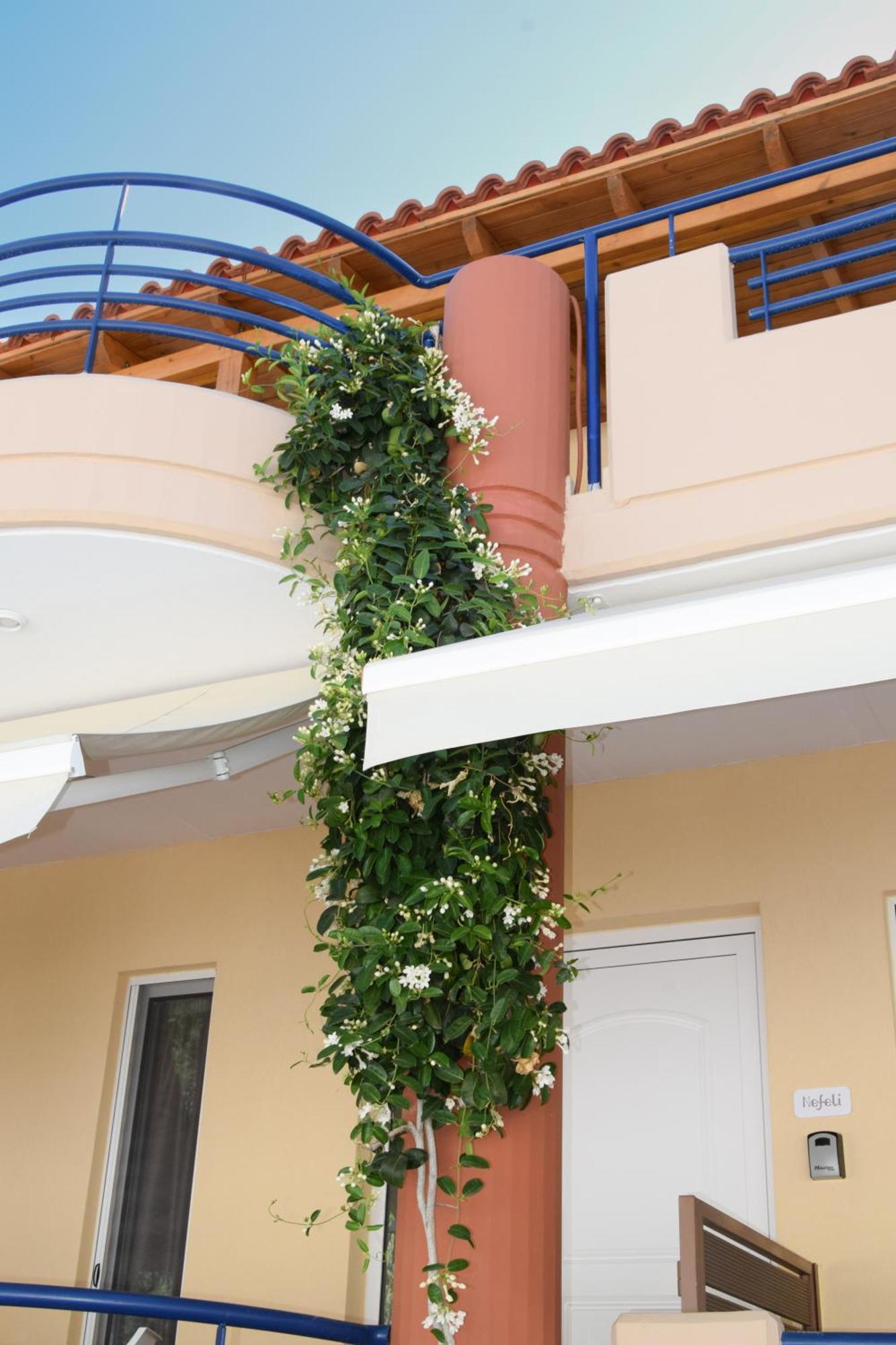 Ferienwohnung Andy'S Plaza Agia Pelagia  Exterior foto
