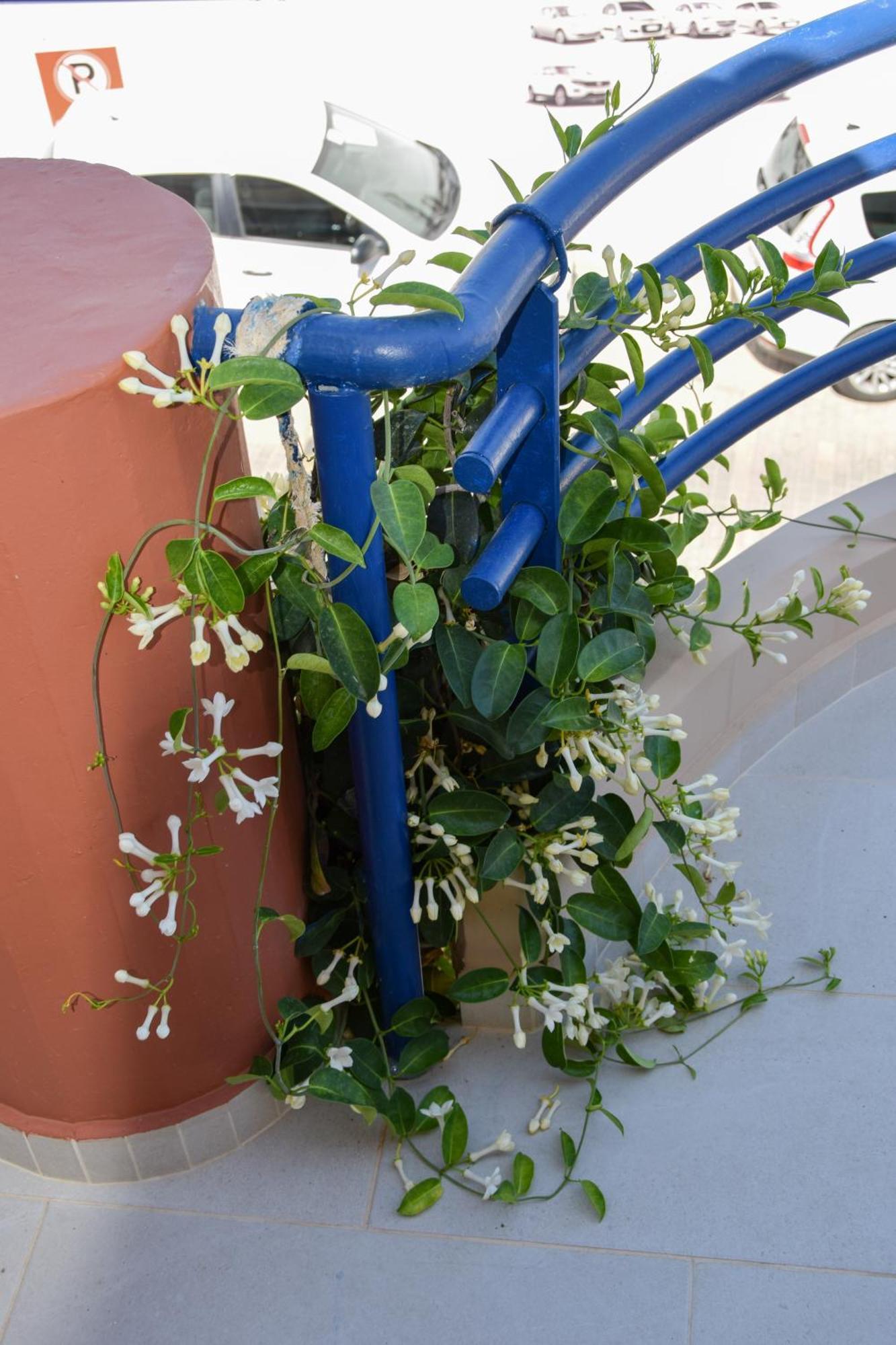 Ferienwohnung Andy'S Plaza Agia Pelagia  Exterior foto